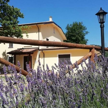 Agriturismo Acquafredda Villa Mormanno Kültér fotó