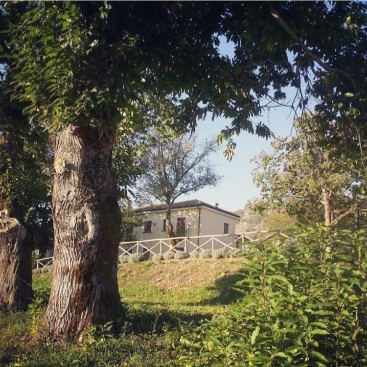 Agriturismo Acquafredda Villa Mormanno Kültér fotó