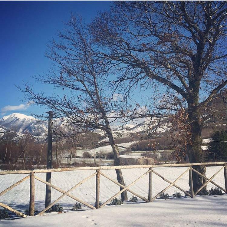 Agriturismo Acquafredda Villa Mormanno Kültér fotó